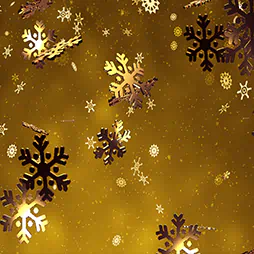 Kerst/Winter